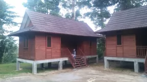 Biaya Pembuatan Rumah Kayu Kabupaten Pacitan PER METER